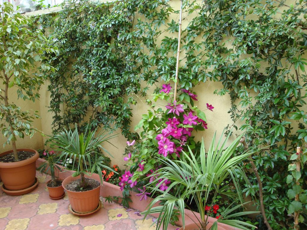 Stela Guest House Zarewo Exterior foto